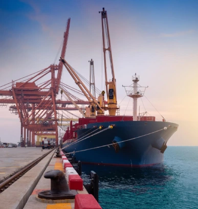 Welcome To Hms Marine